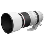 Canon RF 100-500mm f/4.5-7.1L IS USM + Extender RF 2.0x