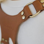 Loulex Double Strap Brown