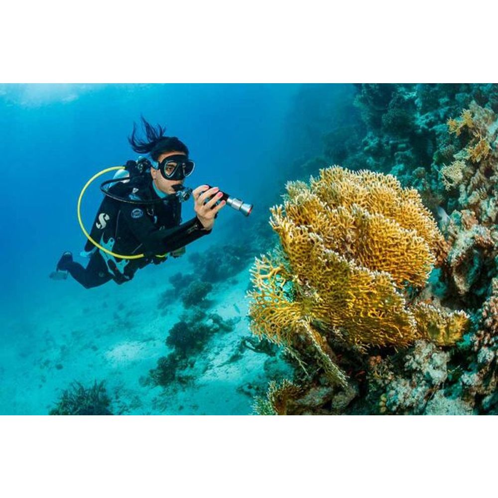 SeaLife Sea Dragon Mini 1200 Power Kit (KIT12)