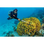 SeaLife Sea Dragon Mini 1200 Power Kit (KIT12)