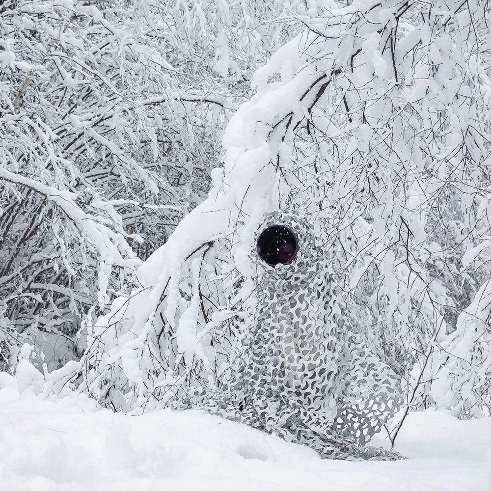 Buteo Photo Gear 3D Leafs Camouflage Net Snow 1.5x3 m