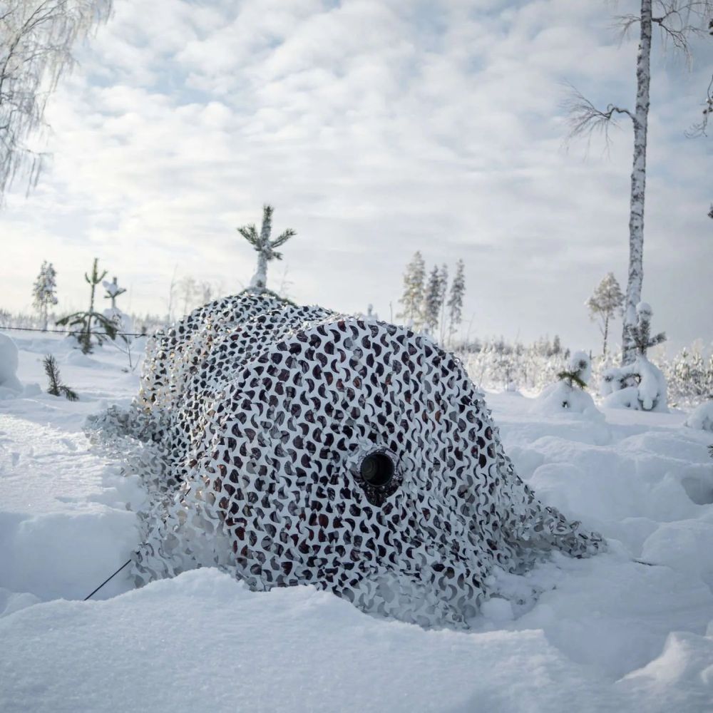Buteo Photo Gear 3D Leafs Camouflage Net Snow 2.4x3 m
