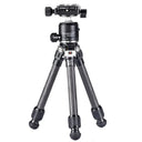 Sunwayfoto T16C20NII T1 Macro tripod with ball head XB25 ArcaSwiss + plate