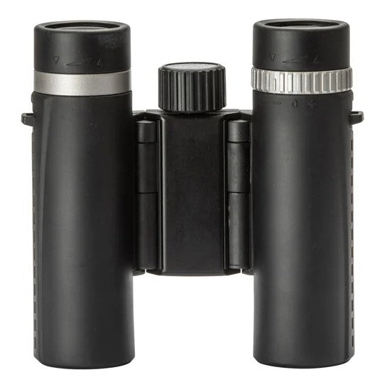 Bynolyt Lark 10x25
