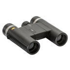 Bynolyt Lark 10x25