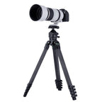 Rollei Lion Rock Pro Instinct Tripod