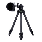 Rollei Lion Rock Pro Instinct Tripod