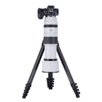 Rollei Lion Rock Pro Instinct Tripod