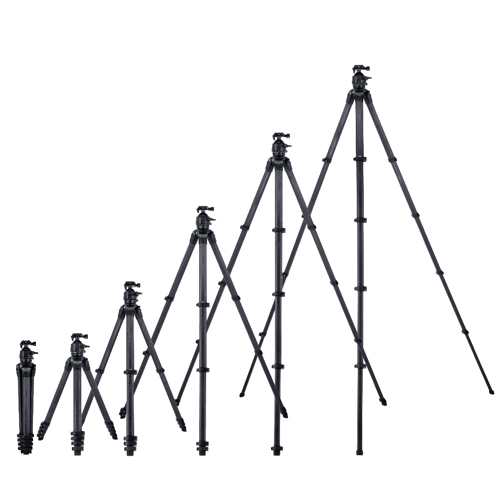 Rollei Lion Rock Pro Instinct Tripod