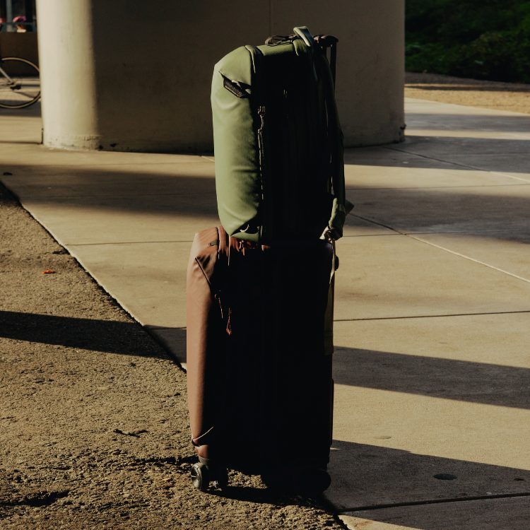 Peak Design Travel Backpack 20L - Sage