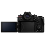 Panasonic Lumix DC-S1R mark II + Lumix S 100-500mm f/5-7.1