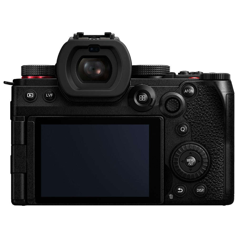 Panasonic Lumix DC-S5 II + Lumix S 100-500mm f/5-7.1