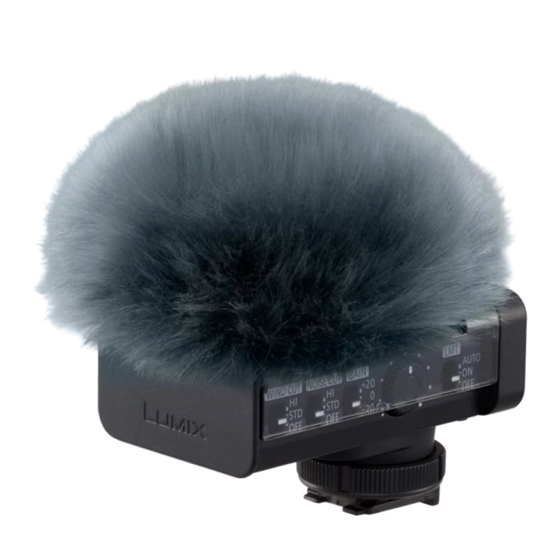 Panasonic Lumix DC-S5 II + LUMIX DMW-DMS1E Digital Shotgun Microphone