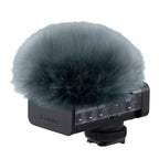 Panasonic Lumix DC-S5 II + LUMIX DMW-DMS1E Digital Shotgun Microphone