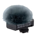 Panasonic Lumix DC-G9II + Lumix DMW-DMS1E Digital Shotgun Microphone