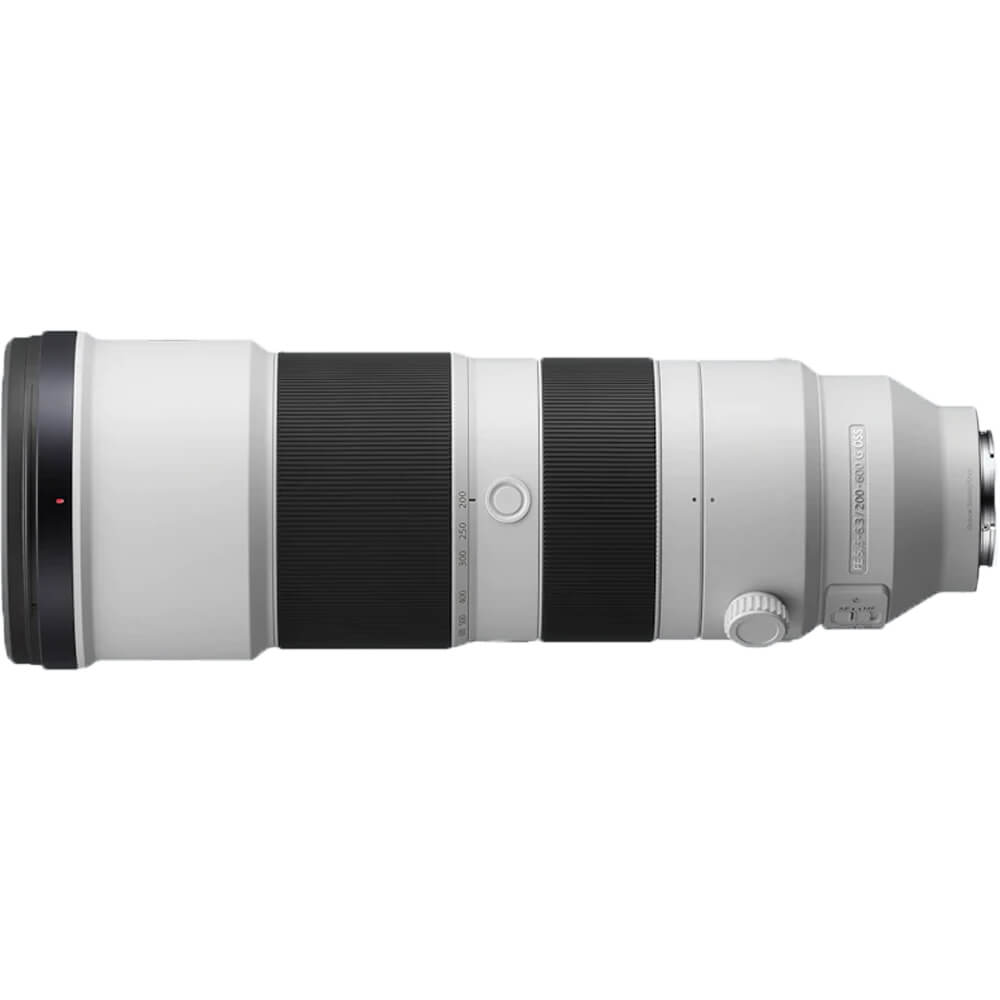 Sony A7R VI + FE 200-600mm f/5.6-6.3 G OSS