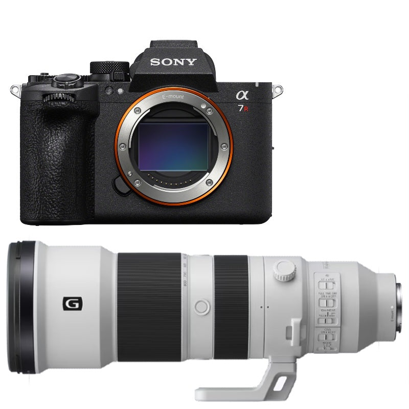 Sony A7R VI + 400-800mm f/6.3-8 G OSS