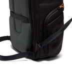 Lowepro Fastpack BP 250 AW IV