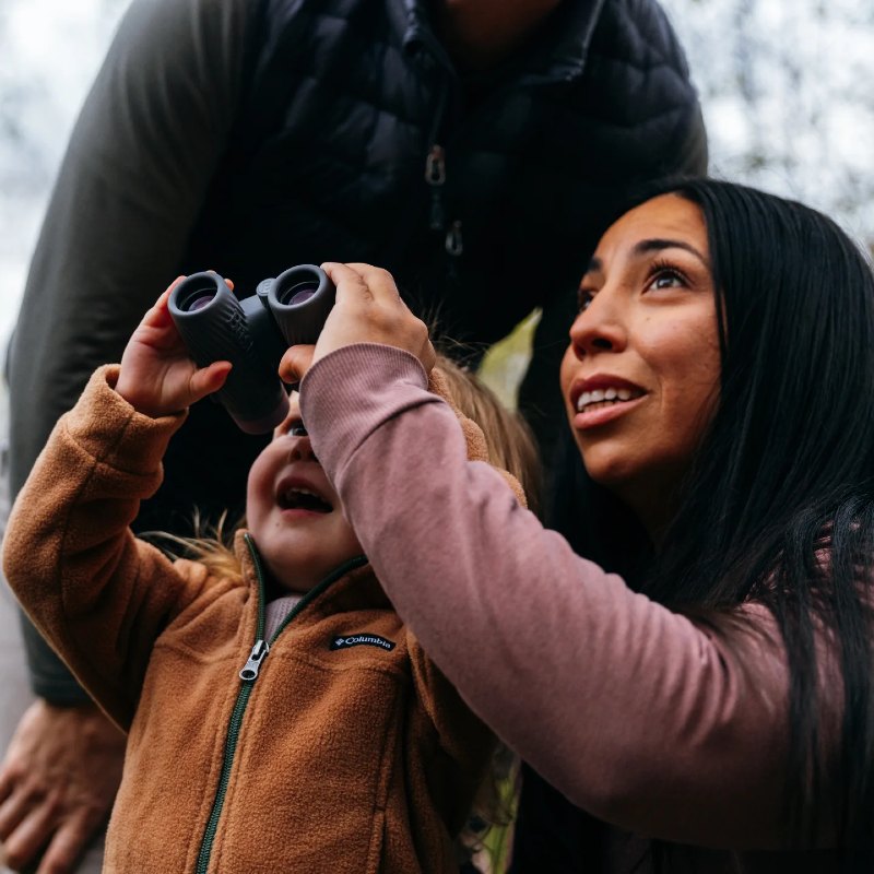 Bushnell A1 Compact Binoculars 8x25