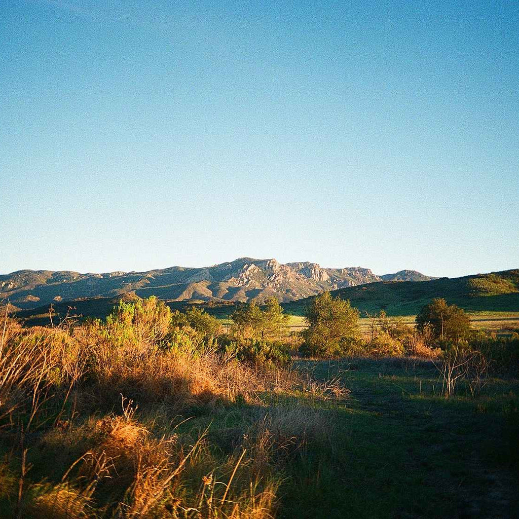 Kodak Ultra Max 400 - 135-24 / 3-pack