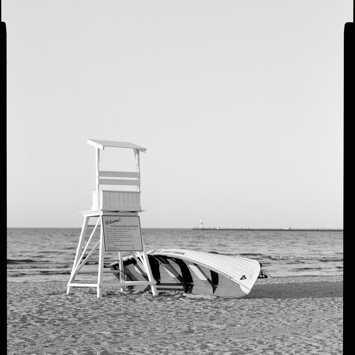 Kodak Tri-X 320 TX-  4x5" / 10 Sheets